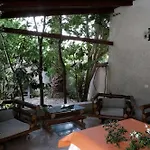 All'ombra Del Noce