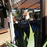 All'Ombra Del Noce B&B